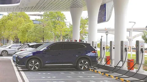 离开训练营的真相：罗道歉困境，记者深度解析